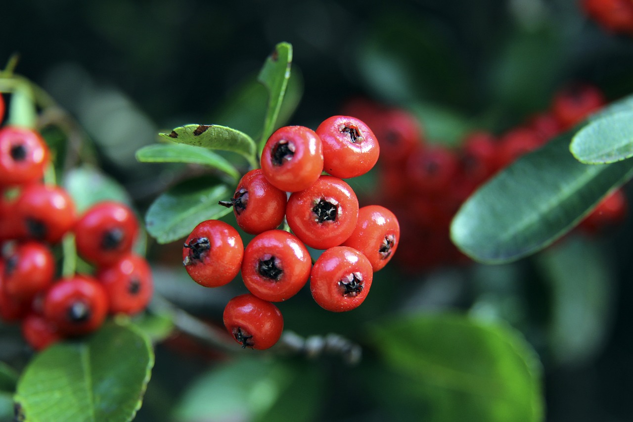 市场机制 市场机制