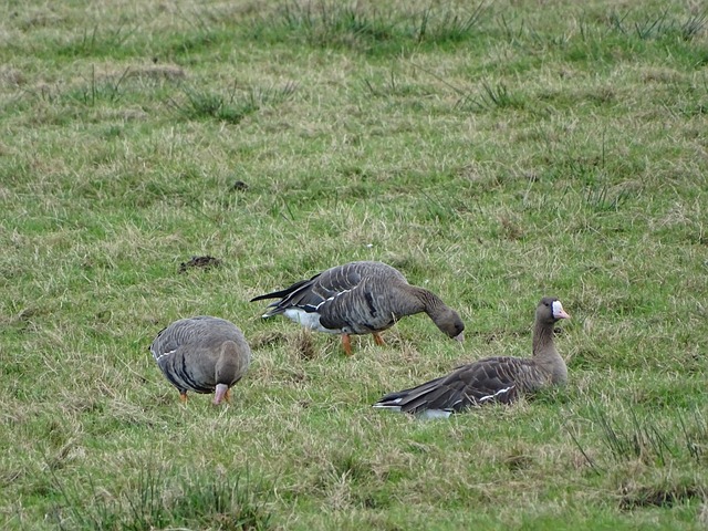 位核心的健 位核心的健