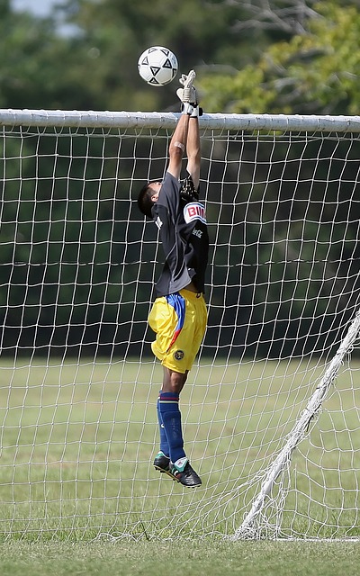 的英足总杯 的英足总杯