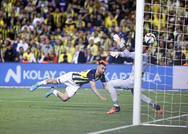 高龄期依然 高龄期依然